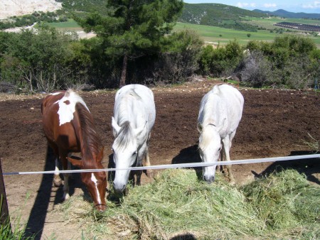 ΟΥΝΑ, ΚΑΓΙΑ & ΜΕΛΙΝΑ