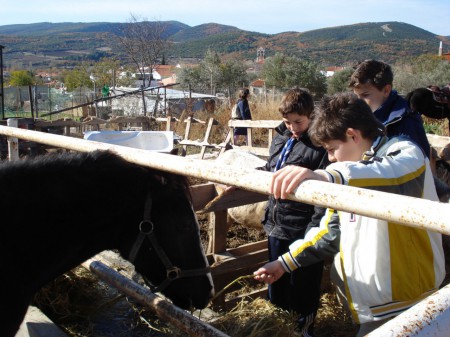 Προσκοπισμός και Ιππασία