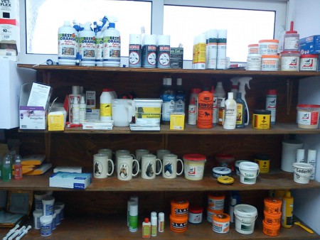 ΦΡΟΝΤΙΔΑ ΑΛΟΓΩΝ