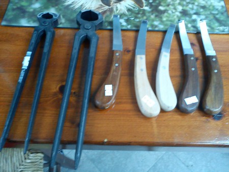 ΑΞΕΣΟΥΑΡ ΝΥΧΙΩΝ